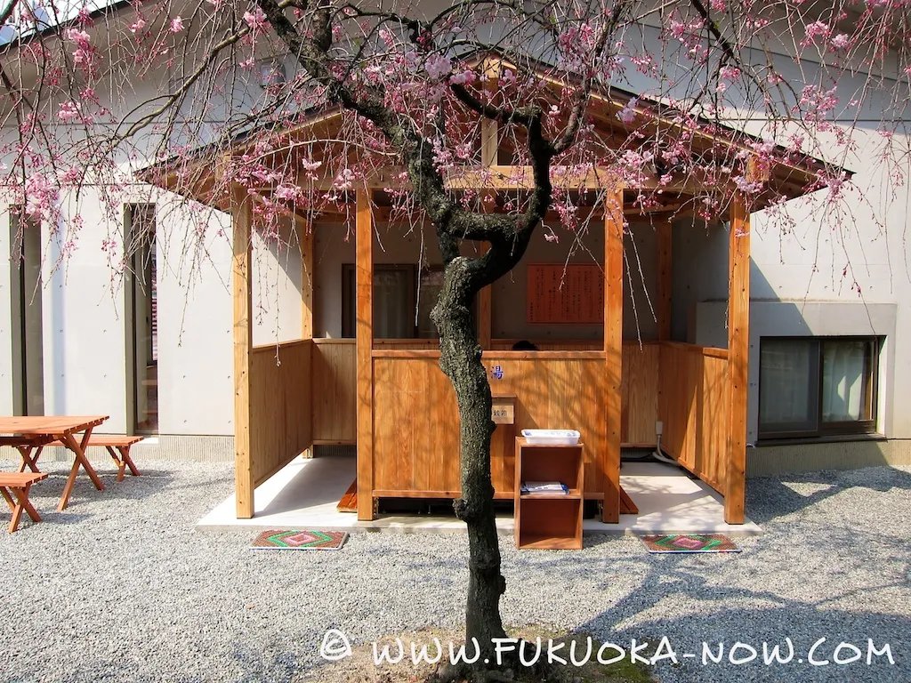 ⛩️ 경호 신사(케고 진자) 이미지 4